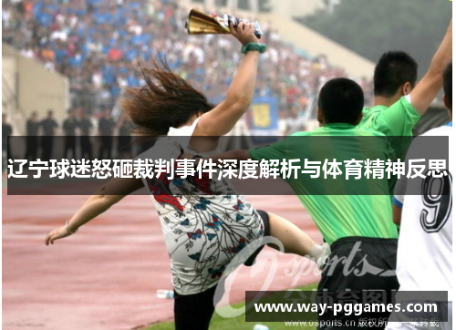 辽宁球迷怒砸裁判事件深度解析与体育精神反思 辽宁球迷怒砸裁判事件深度解析与体育精神反思