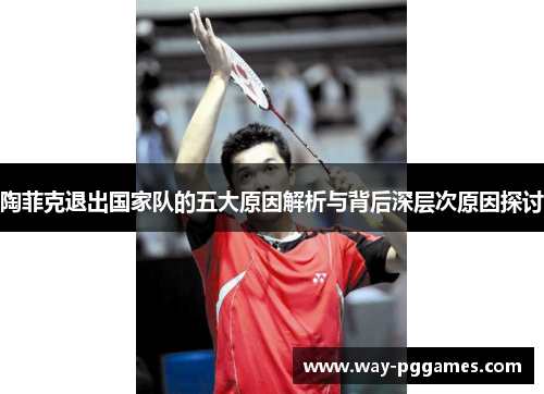 陶菲克退出国家队的五大原因解析与背后深层次原因探讨