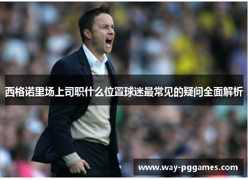 西格诺里场上司职什么位置球迷最常见的疑问全面解析