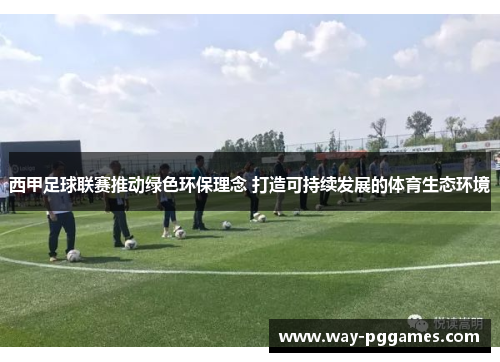 西甲足球联赛推动绿色环保理念 打造可持续发展的体育生态环境 西甲足球联赛推动绿色环保理念 打造可持续发展的体育生态环境