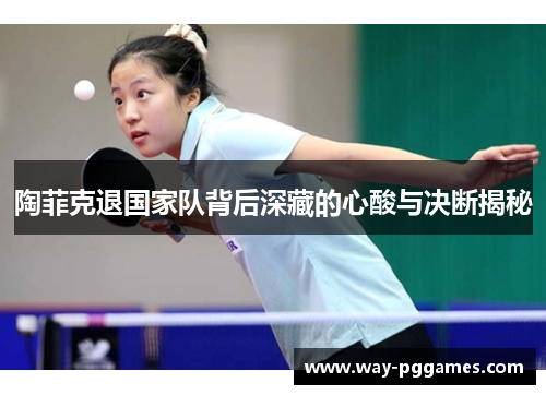陶菲克退国家队背后深藏的心酸与决断揭秘