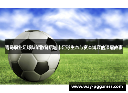 青岛职业足球队解散背后城市足球生态与资本博弈的深层故事