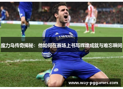 魔力鸟传奇揭秘：他如何在赛场上书写辉煌成就与难忘瞬间