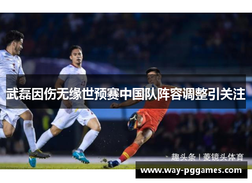 武磊因伤无缘世预赛中国队阵容调整引关注