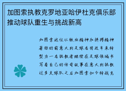 加图索执教克罗地亚哈伊杜克俱乐部推动球队重生与挑战新高 加图索执教克罗地亚哈伊杜克俱乐部推动球队重生与挑战新高